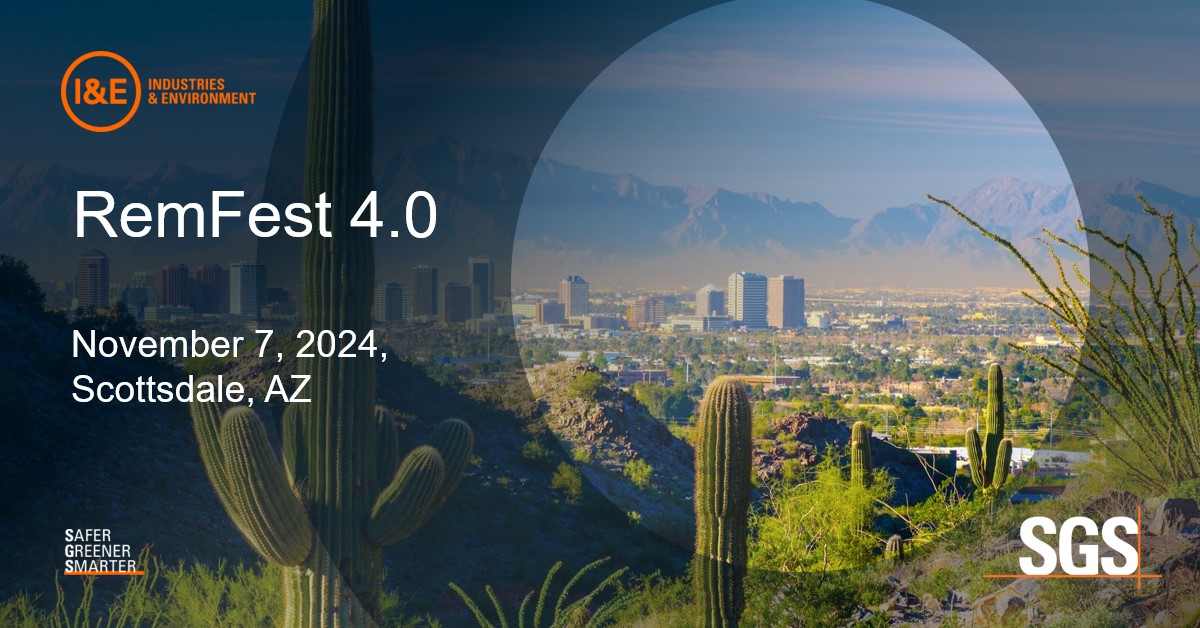 Social media RemFest 4.0